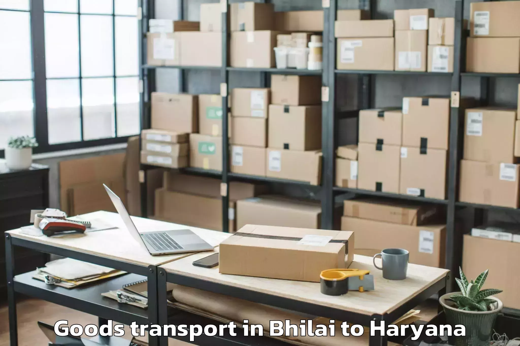 Reliable Bhilai to Khewra Goods Transport